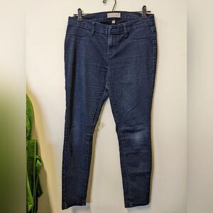 Banana Republic Women's Navy Skinny Jeans